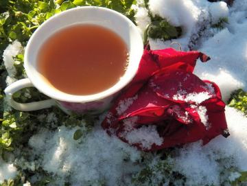 Te laget av roseblader