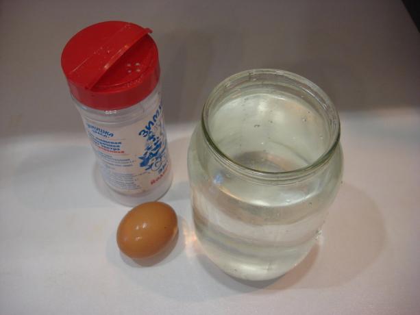 Bilde av forfatteren (salt, en krukke med vann, egg, bla til høyre)