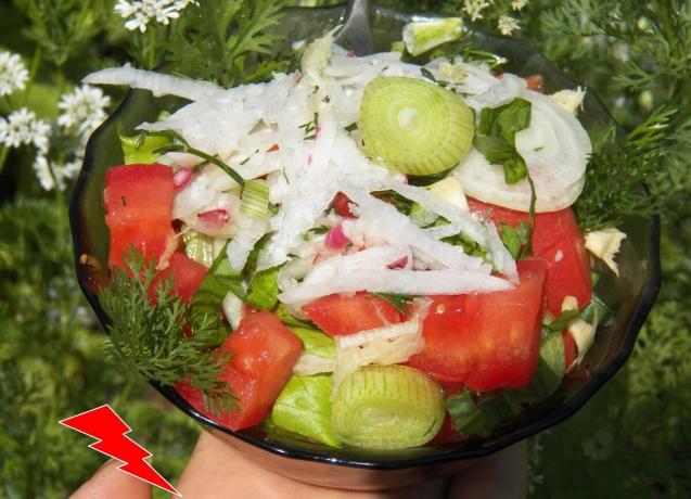 Den foreslåtte versjon av salat svært ektraktiven og egner seg bare for friske mennesker, så se selv hvilke produkter som er eller ikke kommer i ditt tilfelle og justere salat, fjerne upassende komponenter.
