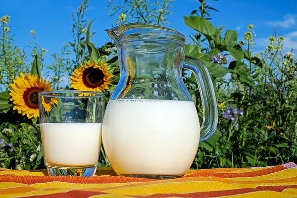 Bedre å kjøpe melk fra private gårder (Foto: Pixabay.com)