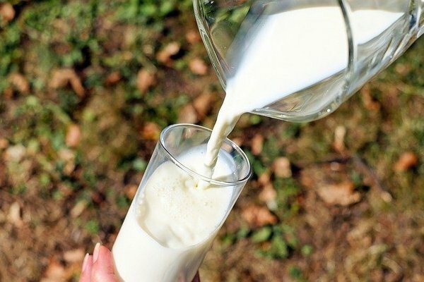 Men hvis du føler ubehagelige opplevelser i magen eller tarmene etter et glass melk, er det bedre å nekte det til fordel for gjærede melkeprodukter (Foto: Pixabay.com)