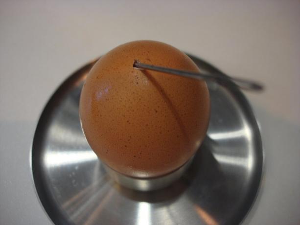 Bilde av forfatteren (egg boret med en nål, bla til høyre)