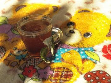 Krovorazzhizhayuschy og silopribavlyayuschy "bjørn tea"