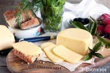 Hjemmelaget ost laget av cottage cheese og melk