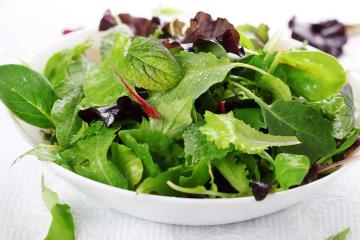 Salat: 10 arter
