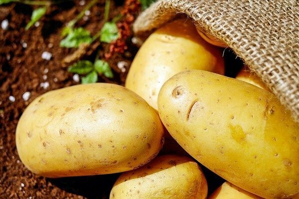Forsvinningen av poteter kan føre til en alvorlig matkrise (Foto: Pixabay.com)