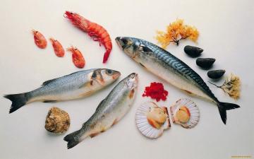 Hvordan lage sjømat og saltvannsfisk?
