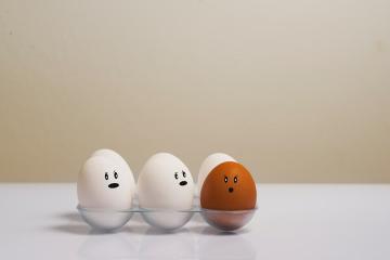 Røkt egg for utarbeidelse av som ikke trenger et eldhus og retter fra dem