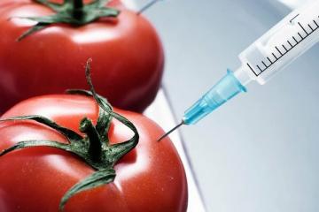 10 GMO-matvarer vi spiser og ikke engang kjenner