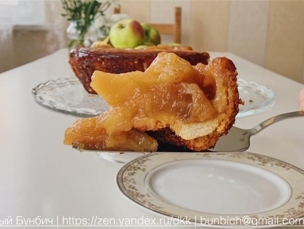 Et stykke av kaken fra epler og brød. Charlotte på tysk
